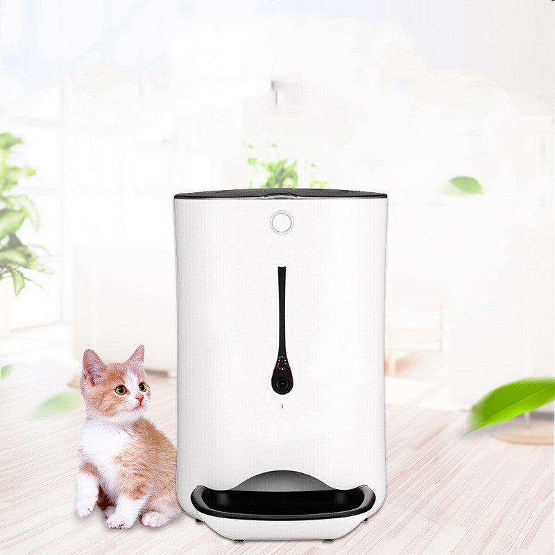 Timed pet video automatic feeder