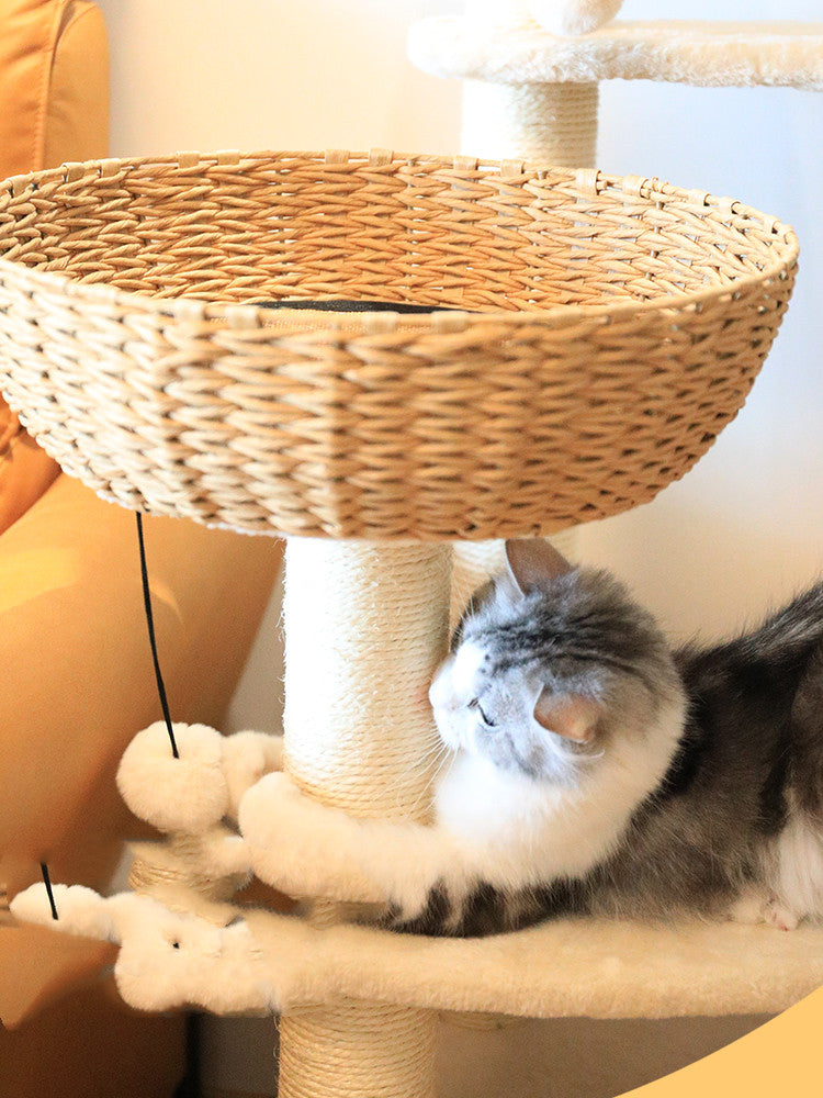 Sit Lie On Cloud Cat Climb Rack  Nest Tree