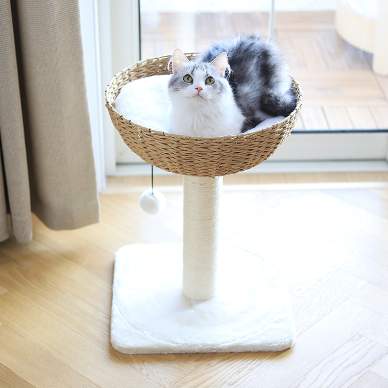 Sit Lie On Cloud Cat Climb Rack  Nest Tree